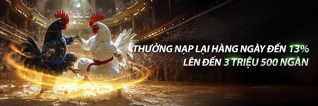 Đá Gà Trực Tiếp 26 2 – Good88